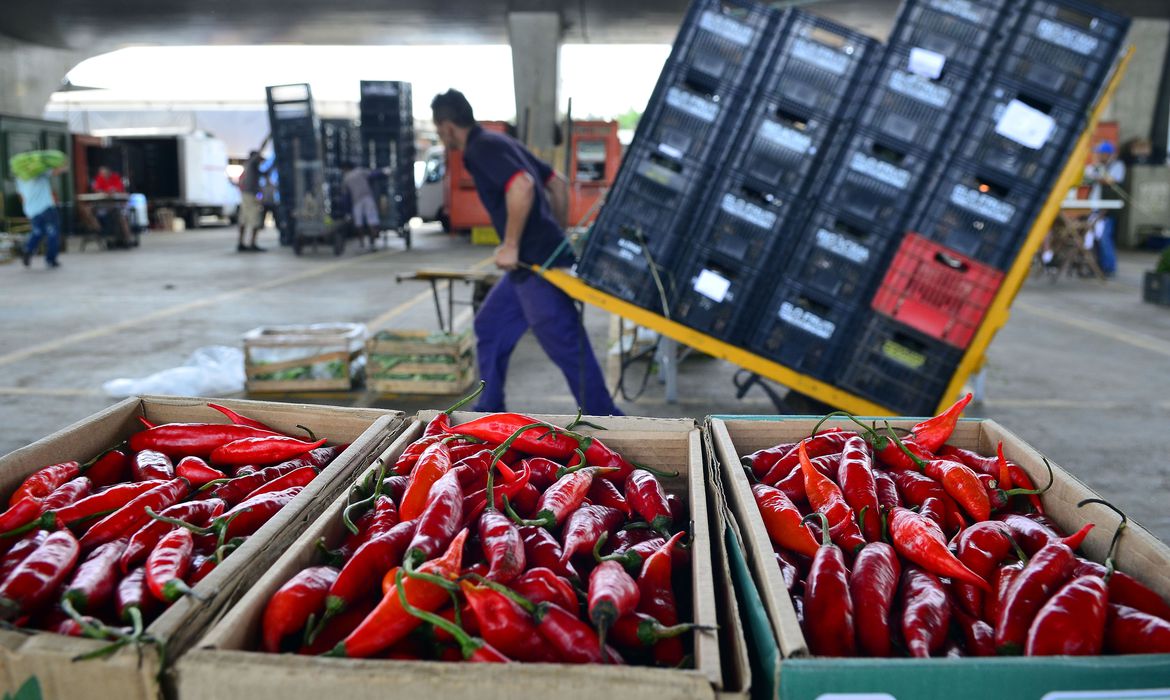 mapa:-89%-dos-vegetais-comercializados-sao-seguros-para-consumo