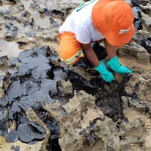 oleo-que-atingiu-praias-do-nordeste-veio-de-petroleiro-grego,-diz-pf